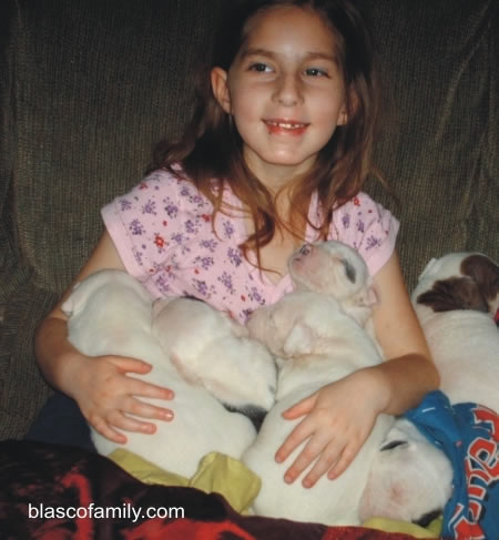 Kids and American Bulldog puppies