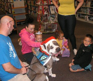 Therapy dog Pitbull with kids