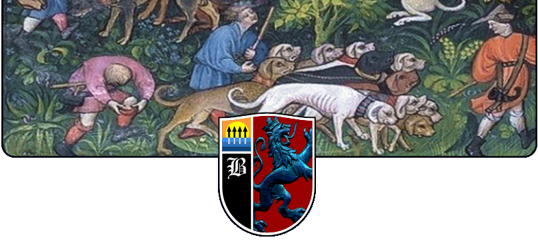 American Bulldogs descended from the Alaunt and other ancient Mastiff dogs which were once highly athletic giants of the dog world. Such dogs were homestead helpers, family guardians, hunters of big game, and epic dogs of war. Consider this European painting of shorter nosed, round headed hunting dogs of diverse colors, but seemingly the same type. Compare the size of the men to the size of these robust and highly athletic Mastiff dogs. Most of their heads are taller than a man's hips. Now imagine for a moment if we bred the dogs shown based primarily upon color, faun to faun, white to white, black to black, red to red. In short order we would have four distinct breeds very similar to English Mastiffs, white Mastiffs similar to American Bulldogs, Neapolitan Mastiffs and Dogue de Bordeaux. Yet, there is no question that these dogs come from the same geographic location, likely the same yard and possibly even the same litter(s).