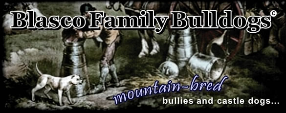 Blasco Family Bulldogs, home of NKC Champion Bionic's Mikie of Moose Run